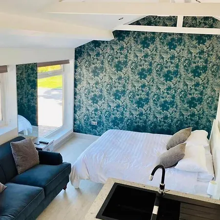 Luxury Studio With Private Gated Parking *